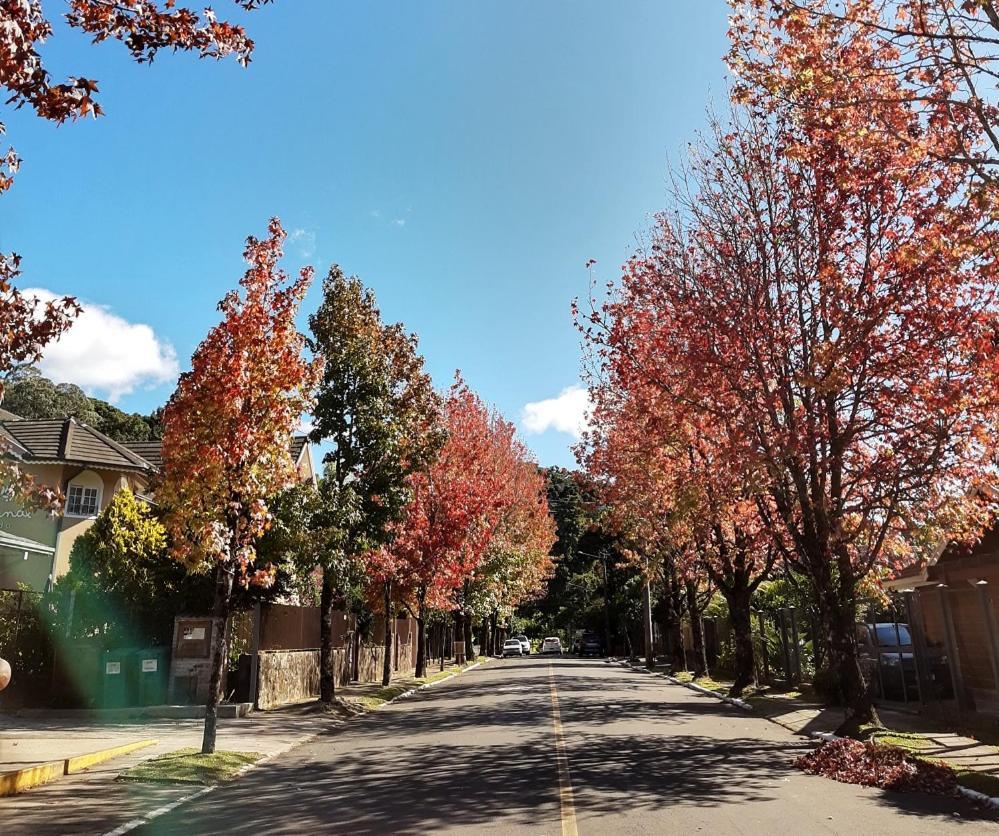 Suite Em Gramado, Proxima A Avenida Das Hortencias Extérieur photo